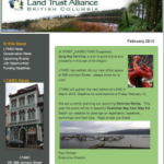 E-News